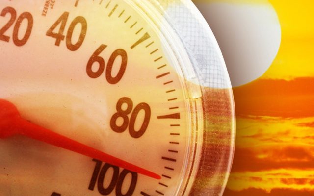 BSA Gives Tips to Avoid Heatstroke
