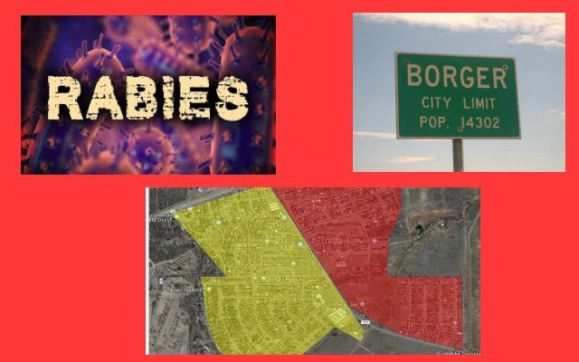 City Of Borger Sets Quarantine Area After Rabid Skunk Found