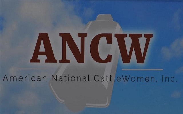 American National CattleWomen talk equality in Ag