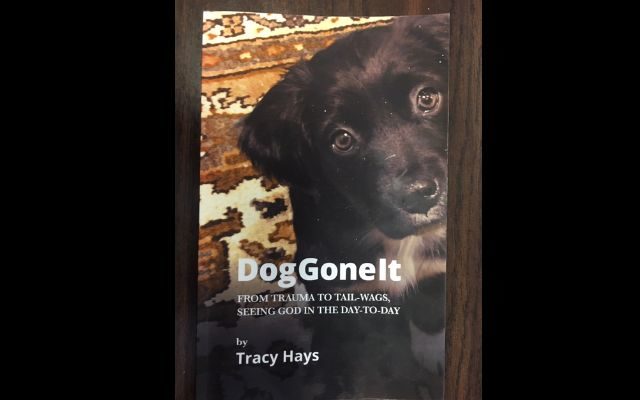 Part 2: Tracy Hays’s New Book “Dog Gone It” Keeping And Building Faith In The Face Of Tragedy