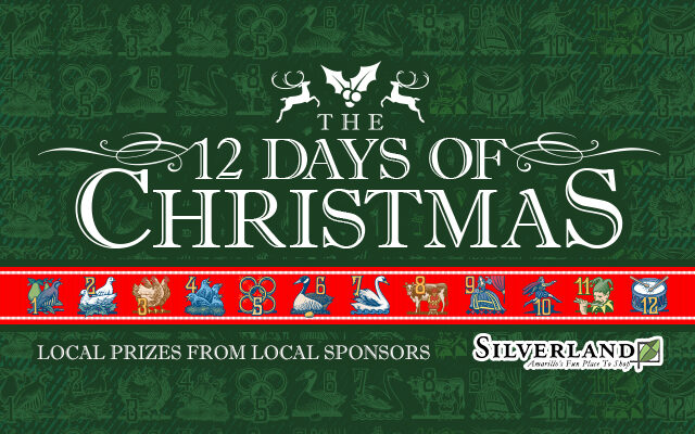 The 12 Days Of Christmas Is Coming!