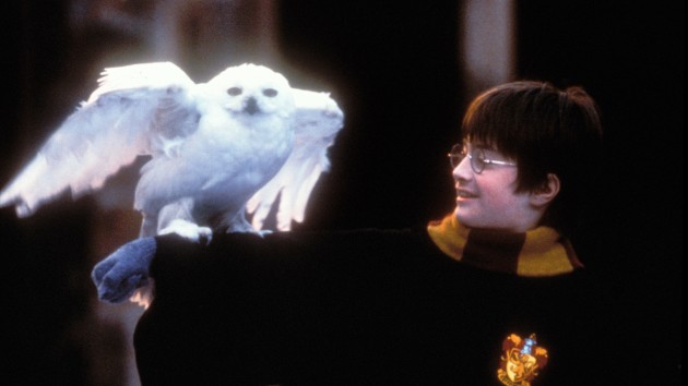 All aboard the Hogwarts Express: ‘Harry Potter and the Sorcerer’s Stone’ turns 20 today